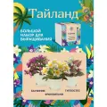 Набор для выращивания растений Зеленый глобус Тайланд. Баухиния, Франжипани, Гипоэстес.