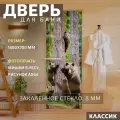 Дверь для бани Фотопечать рисунок А064 1800х700 мм. Правая (петли справа)