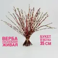 Верба Пасхальная живая красноталка. Букет из вербы на Пасху. Вербный букет
