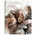 Упаковка 16 шт. Тетрадь А5, 96 л, BRAUBERG, гребень, клетка, обложка картон, Котики (микс в спайке), 404425