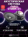 Колонки автомобильные Aura STORM-65