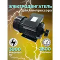 Двигатель электрический 3,0 кВт
