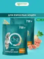 Сухой корм Purina ONE для взрослых кошек с курицей и цельным злаками 750 г, 2 шт