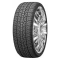 Летние шины 24/295/35 Nexen Roadian HP 110V XL