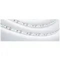 Светодиодная лента Arlight RT-A120-8mm 12V White6000 (9.6 W/m, IP20, 2835, 5m) (Arlight, Открытый) 012334(2)
