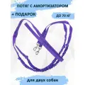 Поводок totemica с амортизатором (потяг) фиолетовый на двух собак 2,8 м.