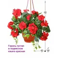 Искусственные цветы Герань густая красная в подвесном коричневом кашпо, для декора террасы, дачи, дома от ФитоПарк