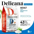 DELICANA Сухой корм для взрослых кошек, со вкусом Лосось, 8кг