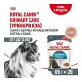 ROYAL CANIN URINARY CARE 28 шт по 85 г кусочки в соусе, влажный корм для взрослых кошек при мочекаменной болезни