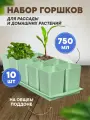 Горшки для рассады и цветов, горшок для цветов - 10 шт по 750 мл на общем поддоне, Мятный