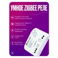 Умное реле ZIGBEE, RF, 10А, 7-32В, контроллер с сухим контактом, с корпусом