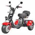Электроскутер CityCoco WHITE SIBERIA PRO TRIKE 3000W, 60V/21AH