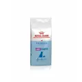 Сухой корм Royal Canin Giant Starter, для собак, супер-премиум, курица, 18кг