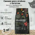 Корм сухой для кошек Grandorf FRESH Cat KITTEN Lamb&Sweet Potato (Свежее мясо ягненка с бататом для котят) 2 кг.