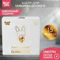 Набор для новорожденного подарочный BUNNY BOX от ROXY-KIDS, 15 предметов