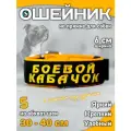Ошейник для собак Buddy team на пряжке, с вышивкой боевой кабачок, 6 см, с мягким подкладом для средних и крупных пород, размер S