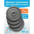 Блины для гантели и штанги 10 кг Atletika24 набор 4 шт. по 2,5 кг; чугунные диски для штанги/гантелей 26 мм