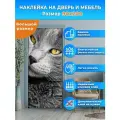 Наклейка интерьерная на дверь Макро портрет серого кота, 90 х 200 см. самоклеющаяся