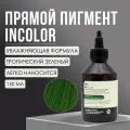 INSIGHT PROFESSIONAL Прямой пигмент интенсивный INCOLOR TROPICAL GREEN тропический зеленый, 150 мл
