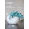 Кашпо STABFLORA Ракушка Наутилус, гипс, с голубой гортензией
