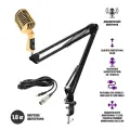Микрофон винтажный золотой, кабель 2.5 м XLR (female) – mini-jack 3.5 mm (male), на пантографе ST с усиленной струбциной