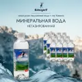Минеральная вода негазированная столовая BabugenT, 0.37 л, 12 шт