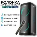 Колонка портативная беспроводная Bluetooth, большая напольная с караоке 60Вт TITAVIN TI-SPF001