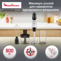 Погружной блендер Moulinex QUICKCHEF DD653832, серебристый/черный