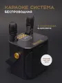Караоке-система, с двумя беспроводными микрофонами, Bluetooth
