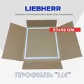 Уплотнительная резинка для холодильника Liebherr Либхер - 97 x 52 см / серии ICUS / Профиль - под планку