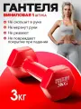 Гантели для фитнеса Panther Energy, вес 3 килограмма, 1 штука, красный цвет