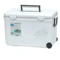 Термобокс SHINWA Holiday Land Cooler 33H белый