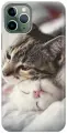 Силиконовый чехол на Apple iPhone 11 Pro / Эпл Айфон 11 Про с рисунком Милые котики