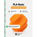 Пластик PLA Basic Bambu Lab, 1кг (Без катушки), Pumpkin Orange (10301), Оранжевый