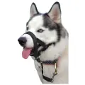 Недоуздок для собак White Wolf (корректор поведения, халти) черный размер XXL