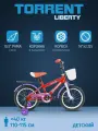 Детский велосипед TORRENT Liberty (добавочные колёса,1скорость, колеса 16 д, рама сталь, корзина)