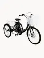 Трехколесный электровелосипед для взрослых Izh-Bike (Иж-Байк) Фермер 24 2025 Черный