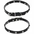 Ошейник для собак и кошек со стразами «На стиле», цвет черный, 1см, размер S, 28*30см (лейбл)