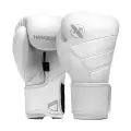 Боксерские перчатки Hayabusa T3 Kanpeki Arctic White (16 унций)