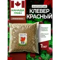 Клевер красный семена 1кг, сидерат