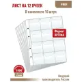 Комплект 10 листов Albommonet PROFESSIONAL на 12 ячеек с клапанами (прозрачные). Формат Optima