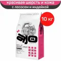 Сухой корм AJO Cat Skin & Hair для кошек, здоровая кожа и красивая шерсть, с лососем и индейкой, 10 кг