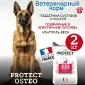Сухой корм для собак Pro-Nutrition Flatazor Protect Osteo при болезнях суставов (2 кг)