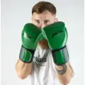 Перчатки боксерские тренировочные Infinite Force Forest Green (10 oz)