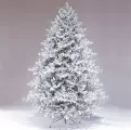 Искусственная елка Адель заснеженная 270 см, литая 100%