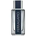 Туалетная вода SALVATORE FERRAGAMO Ferragamo Pour Homme мужская Travel Spray, 30 мл