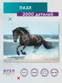 Пазл фрея 2000 элементов PZL-2000/45 Навстречу бризу