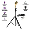 Микрофон винтажный золотой, кабель 2.5 м XLR (female) – mini-jack 3.5 mm (male), на напольной стойке JBH