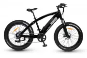 Электровелосипед, фэтбайк Медведь 2.0 HD 750