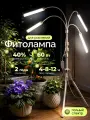 Фитолампа на штативе полного спектра 60 Вт
